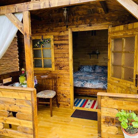 Ieşelniţa Camping In Clisura Dunarii מראה חיצוני תמונה
