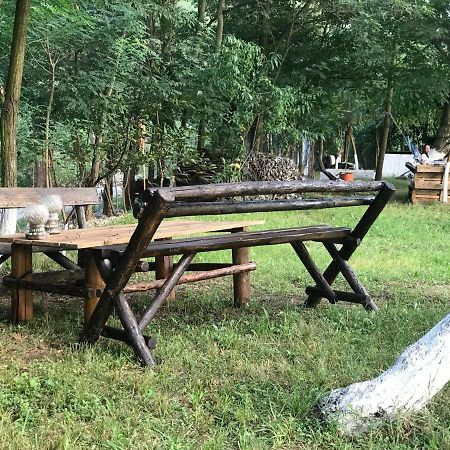 Ieşelniţa Camping In Clisura Dunarii מראה חיצוני תמונה