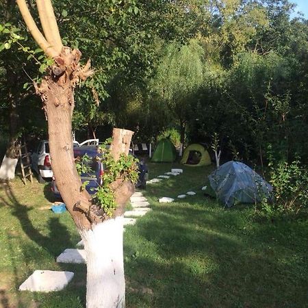 Ieşelniţa Camping In Clisura Dunarii מראה חיצוני תמונה
