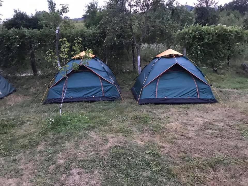 Ieşelniţa Camping In Clisura Dunarii מראה חיצוני תמונה