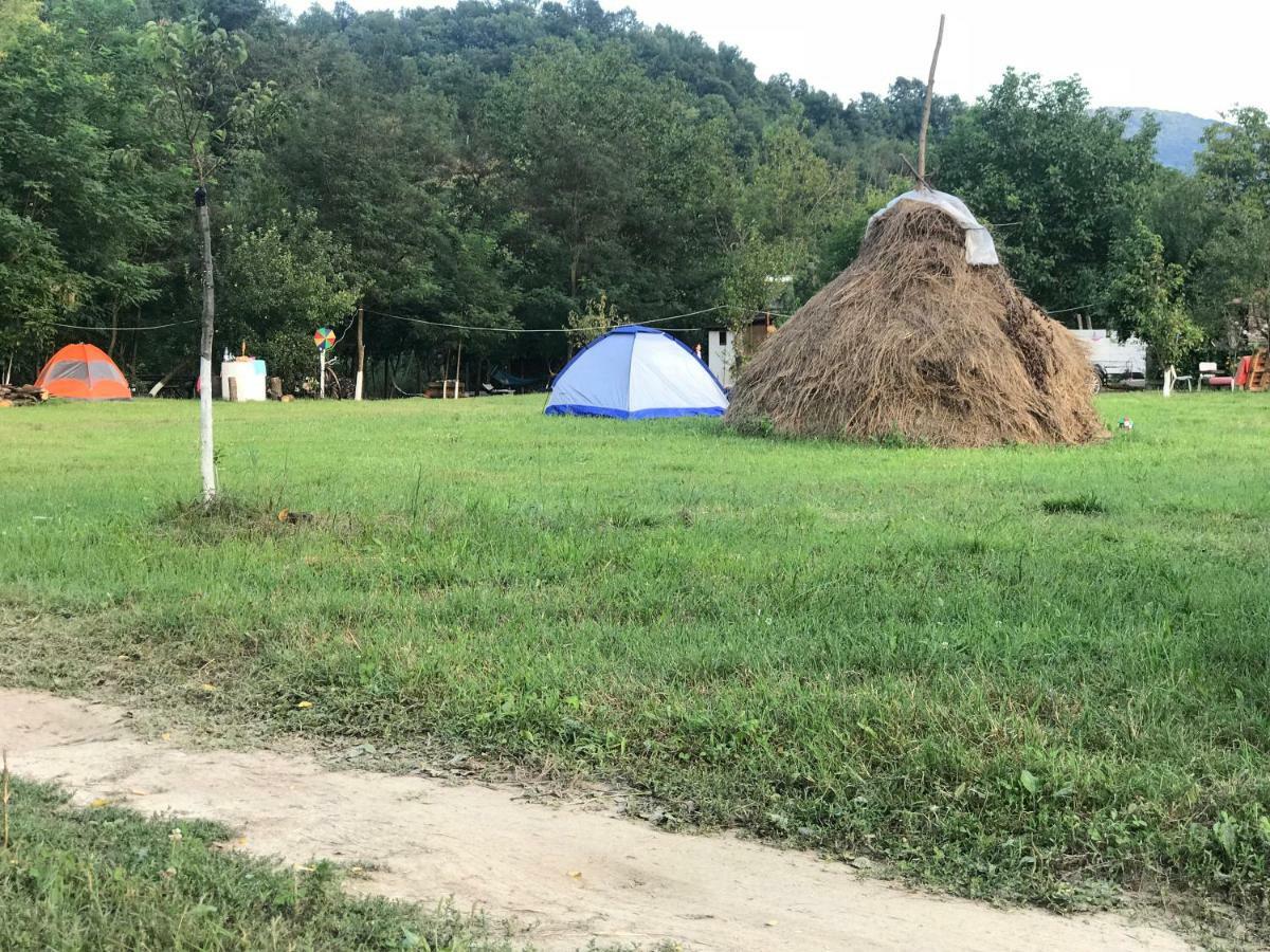 Ieşelniţa Camping In Clisura Dunarii מראה חיצוני תמונה