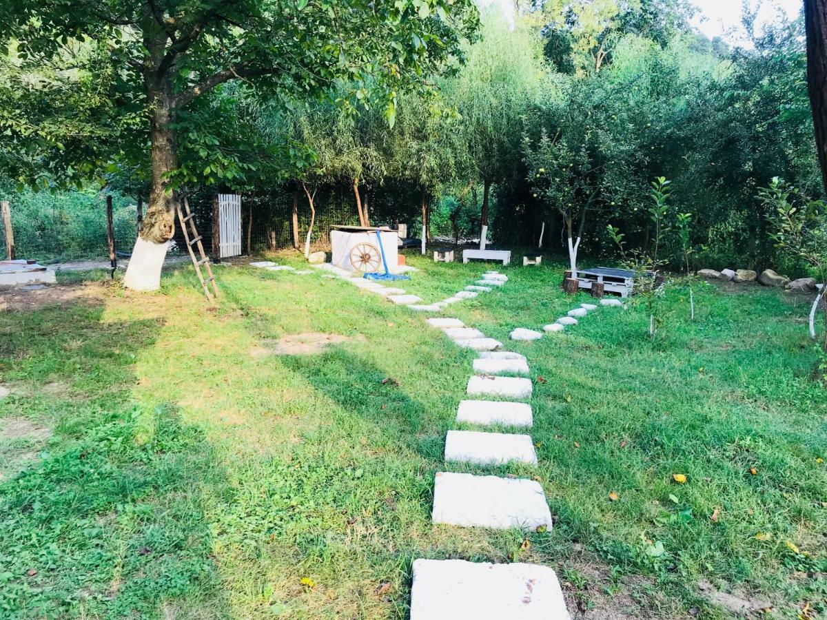 Ieşelniţa Camping In Clisura Dunarii מראה חיצוני תמונה