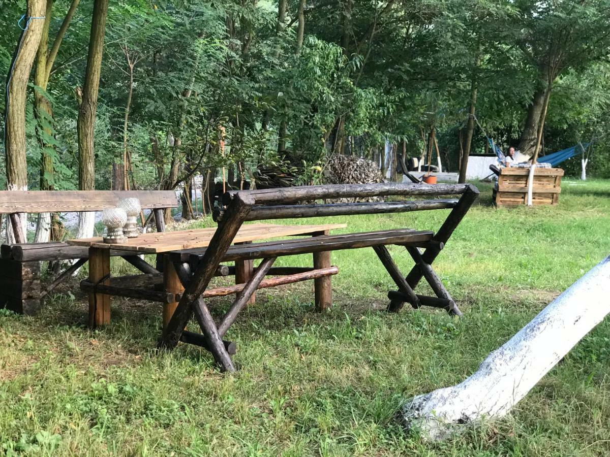 Ieşelniţa Camping In Clisura Dunarii מראה חיצוני תמונה