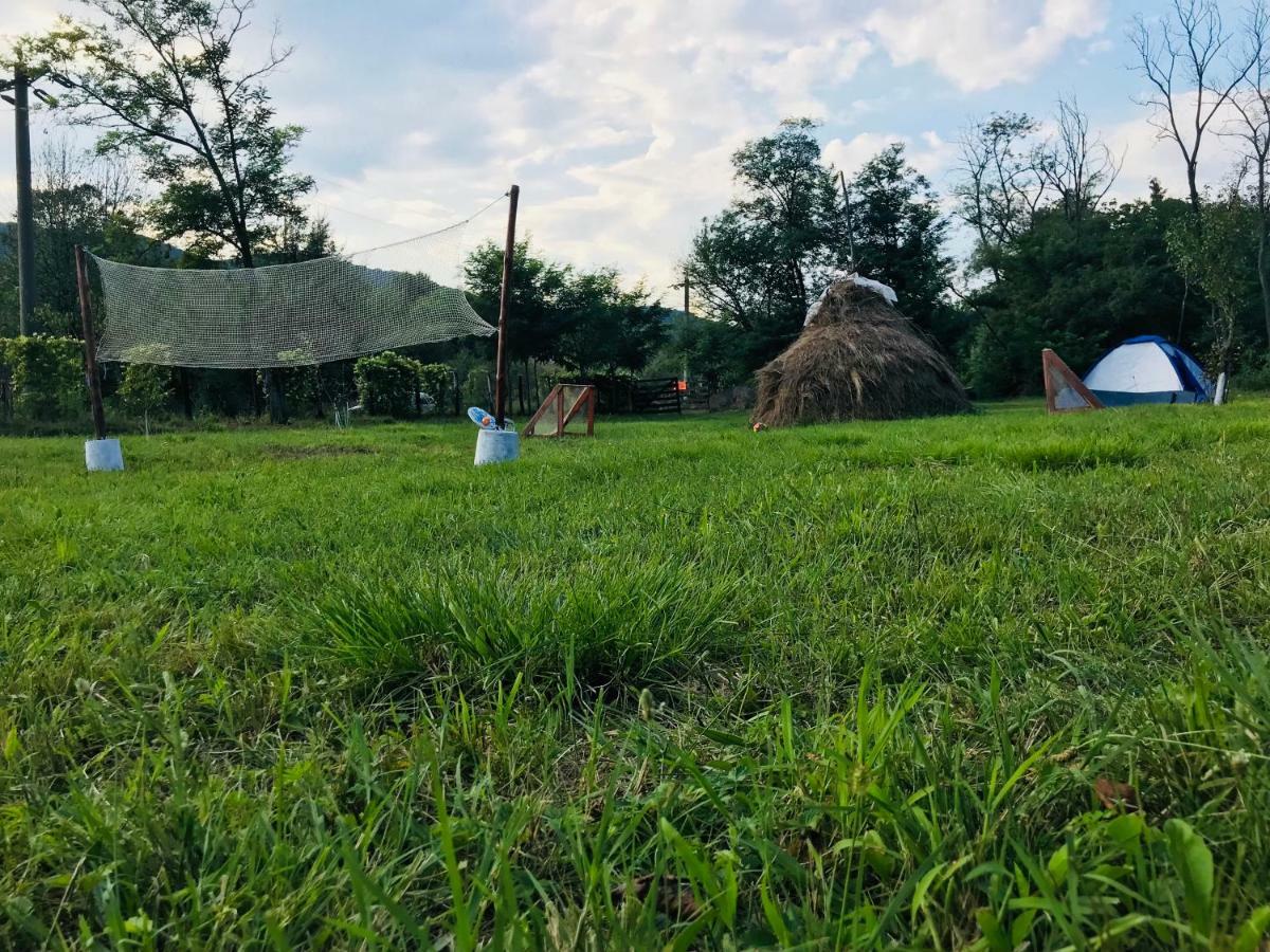 Ieşelniţa Camping In Clisura Dunarii מראה חיצוני תמונה