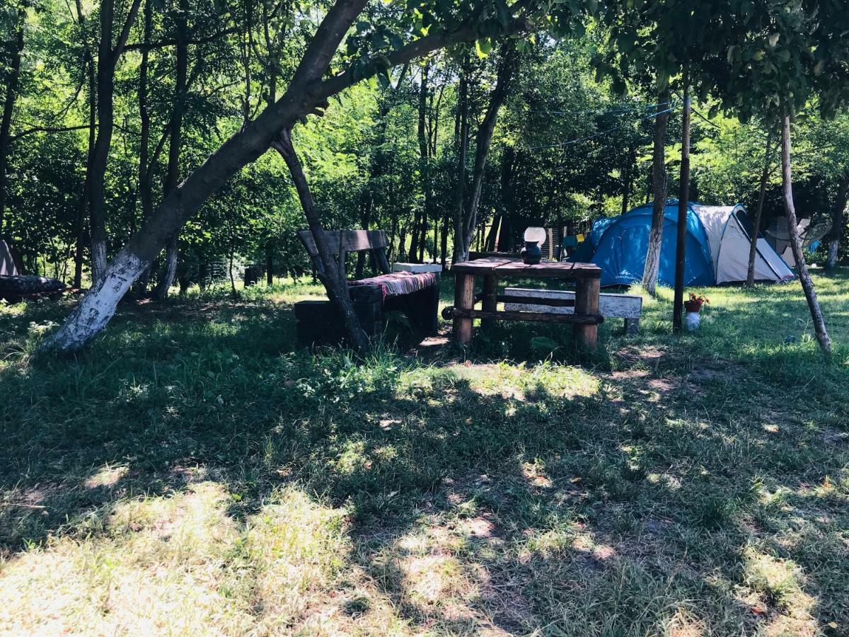 Ieşelniţa Camping In Clisura Dunarii מראה חיצוני תמונה