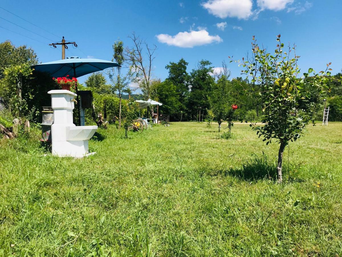 Ieşelniţa Camping In Clisura Dunarii מראה חיצוני תמונה