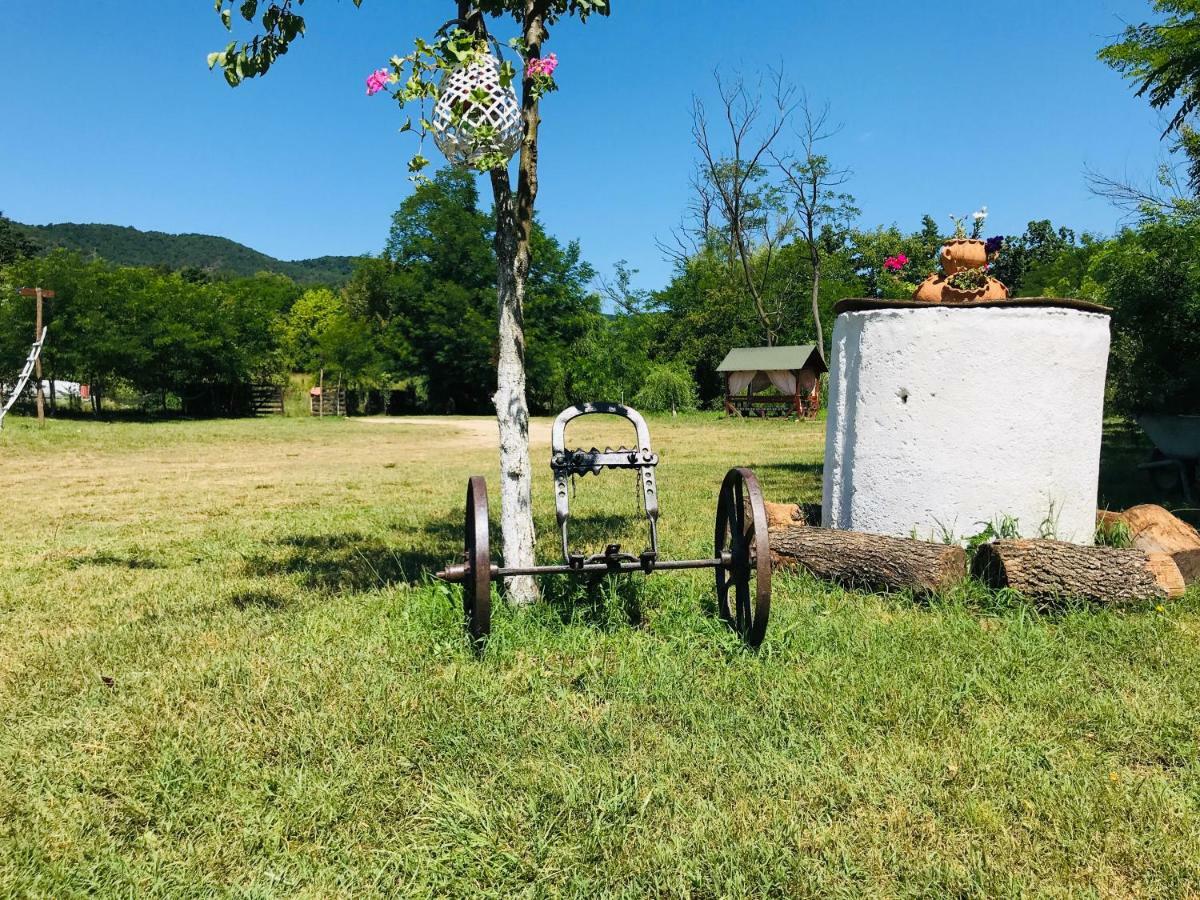 Ieşelniţa Camping In Clisura Dunarii מראה חיצוני תמונה