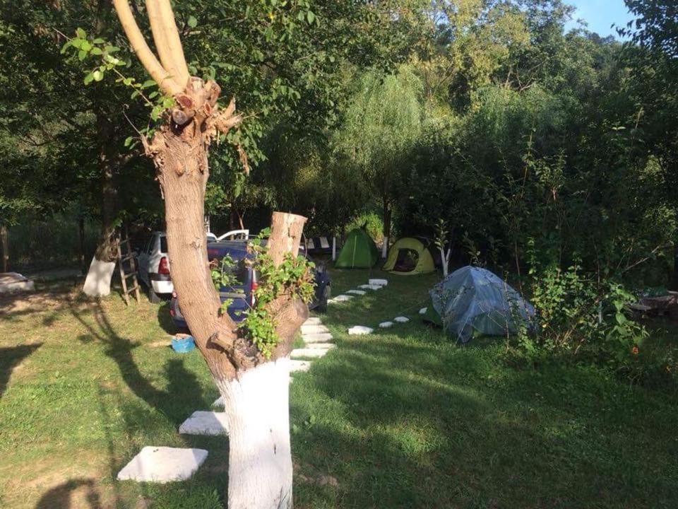 Ieşelniţa Camping In Clisura Dunarii מראה חיצוני תמונה
