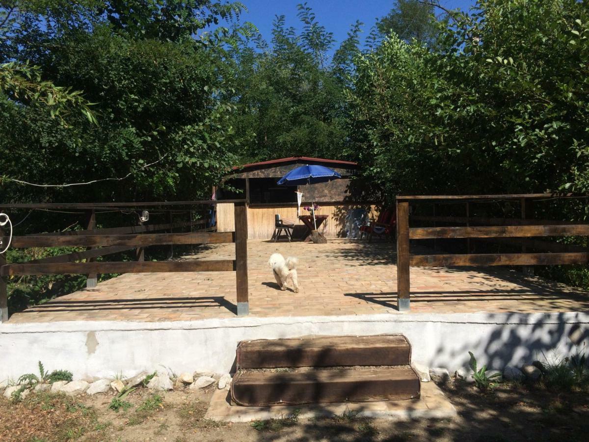 Ieşelniţa Camping In Clisura Dunarii מראה חיצוני תמונה