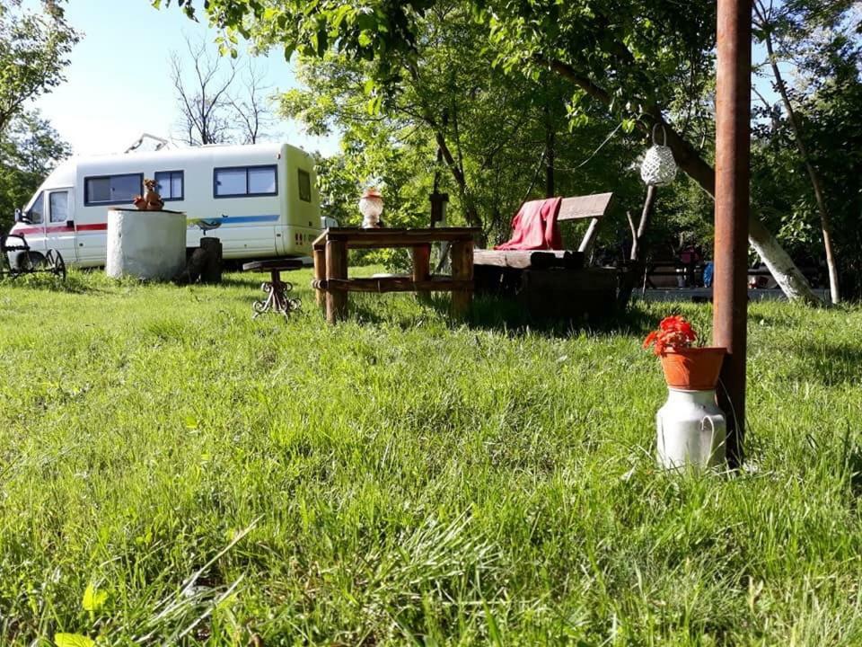Ieşelniţa Camping In Clisura Dunarii מראה חיצוני תמונה