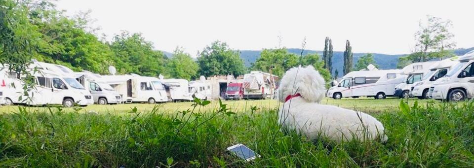 Ieşelniţa Camping In Clisura Dunarii מראה חיצוני תמונה